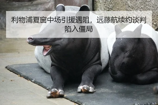 利物浦夏窗中场引援遇阻，远藤航续约谈判陷入僵局