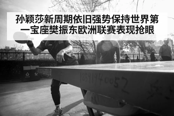 Fan Zhendong table tennis